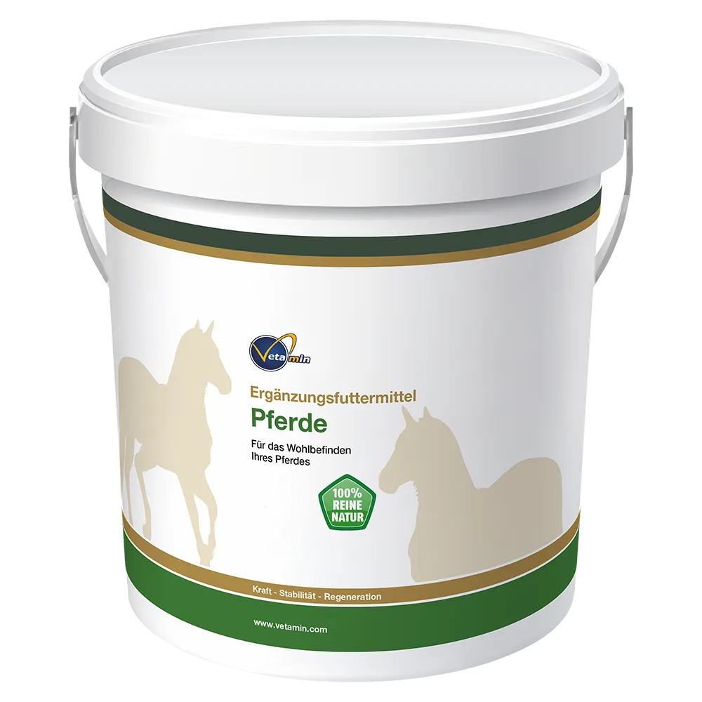 Ergänzungsfuttermittel für Pferde mit Zeolith & Kürbispulver Ergänzungsfuttermittel für Pferde mit Zeolith & Kürbispulver