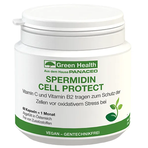Spermidin Kapseln kaufen