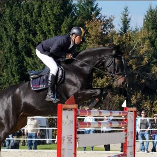 Springreiter Alexander Esser mit Pferd beim Sprungturnier