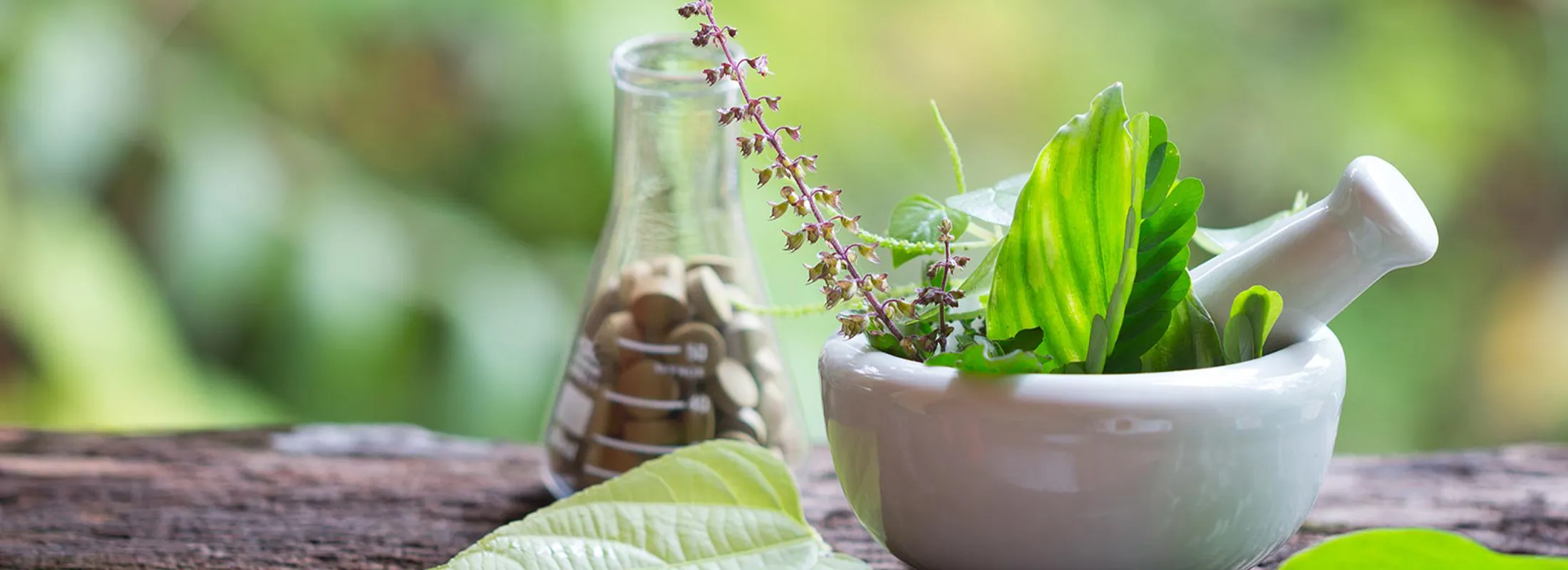 Green Health Mikronährstoffe aus dem Hause PANACEO