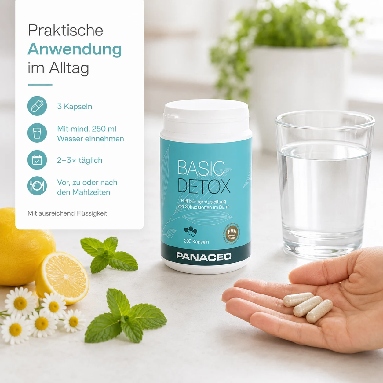 PANACEO BASIC DETOX Kapseln 200 Stk. mit PMA-Zeolith zur Darmentgiftung, Dose mit Wasserglas und Kapseln in der Hand, praktische Anwendung im Alltag