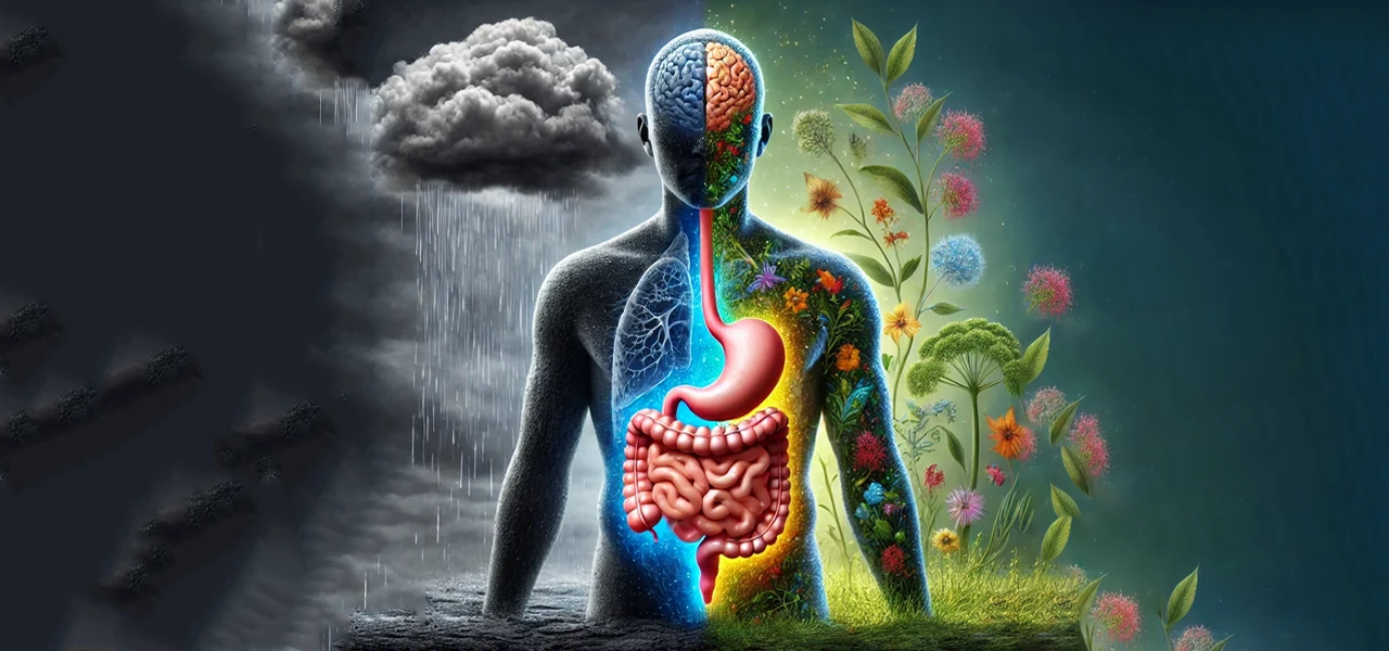 Darmgesundheit und Depression – kann Zeolith unterstützen?