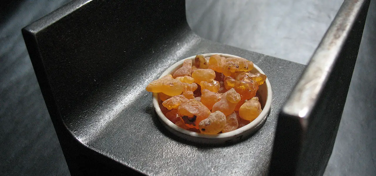 Weihrauch (Boswellia serrata) - Premium-Qualität aus Indien Weihrauch Kapseln aus Boswellia Serrata