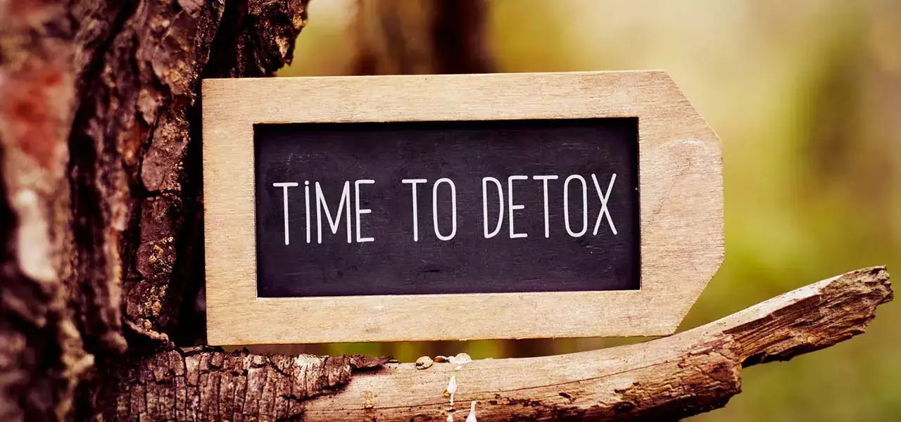 Detox Time - Weil echte Entgiftung Darmsache ist Time to Detox